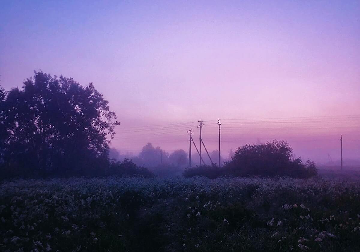 利雅得胜利全队祝贺马内夺非洲杯，C罗亲自给他切蛋糕